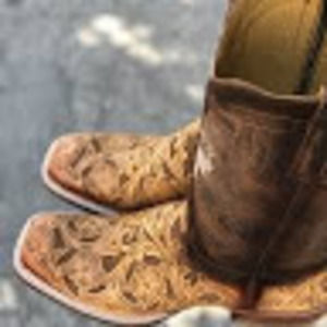 Meet your Posher, Dakota